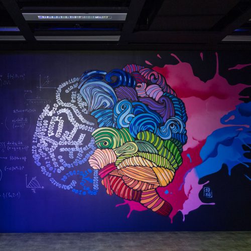 Mitos y ciencia alrededor del cerebro de los programadores